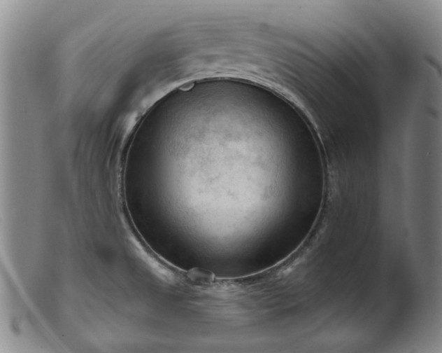 X0000099451525200805231729