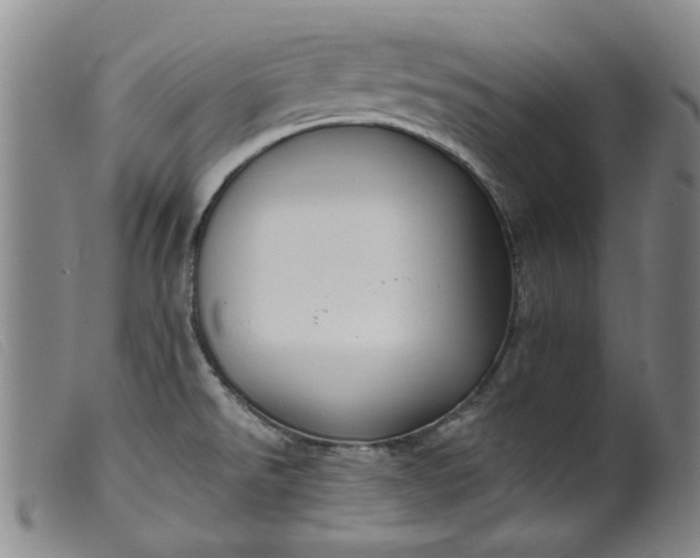 X0000099451526200805231729