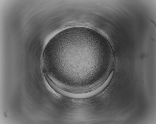 X0000099451528200805231729