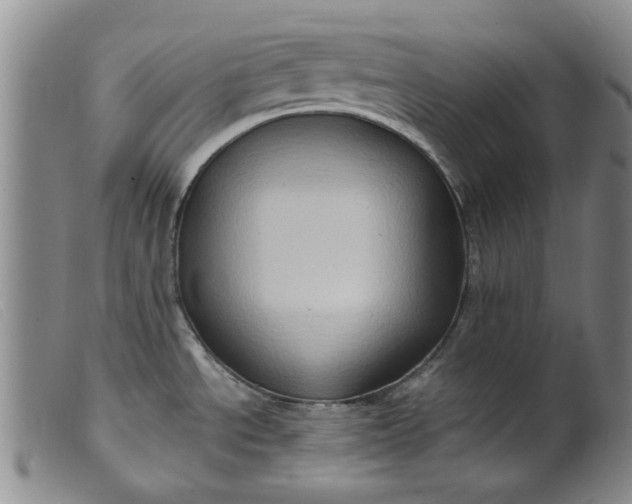 X0000099451534200805231729