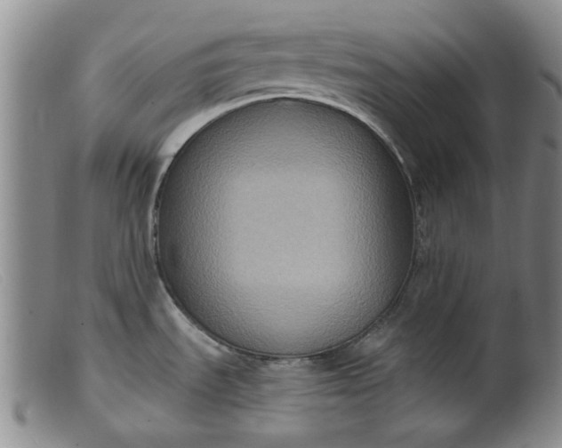 X0000099451535200805231729