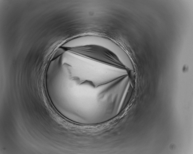 X0000099450001200805301523