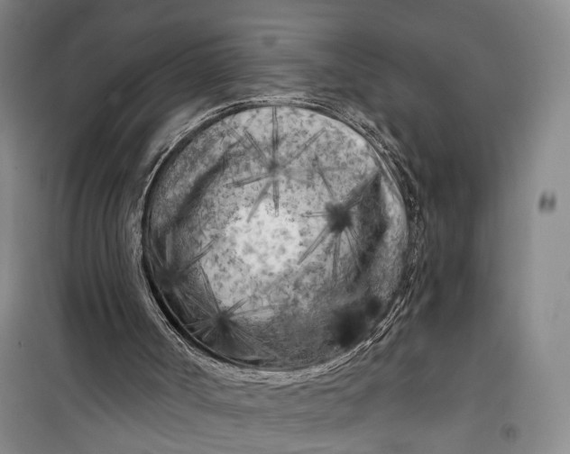 X0000099450002200805301523