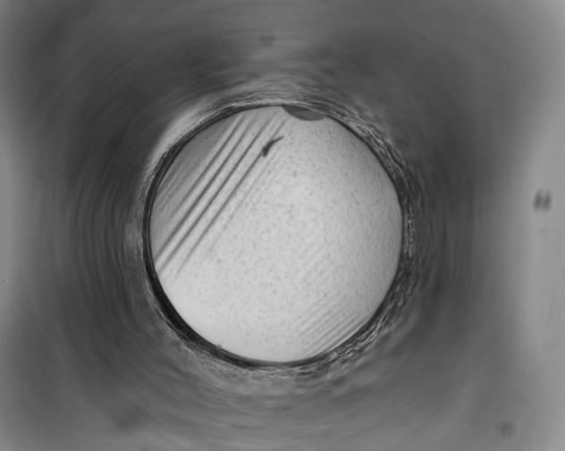 X0000099450004200805301523