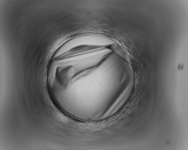 X0000099450005200805301522