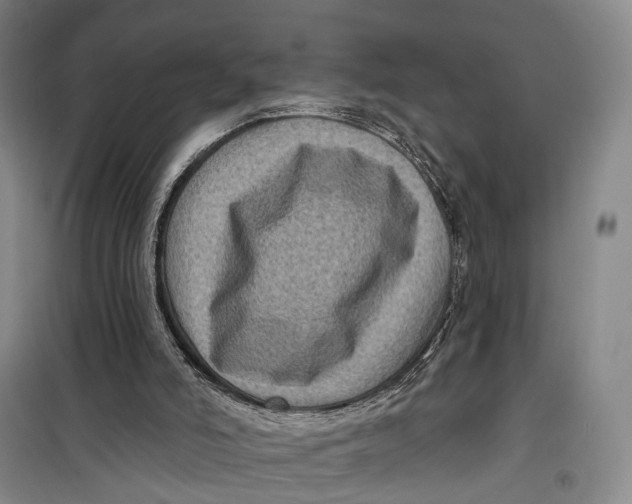 X0000099450006200805301522