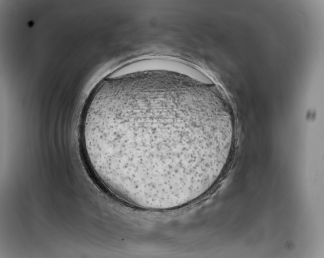 X0000099450007200805301522