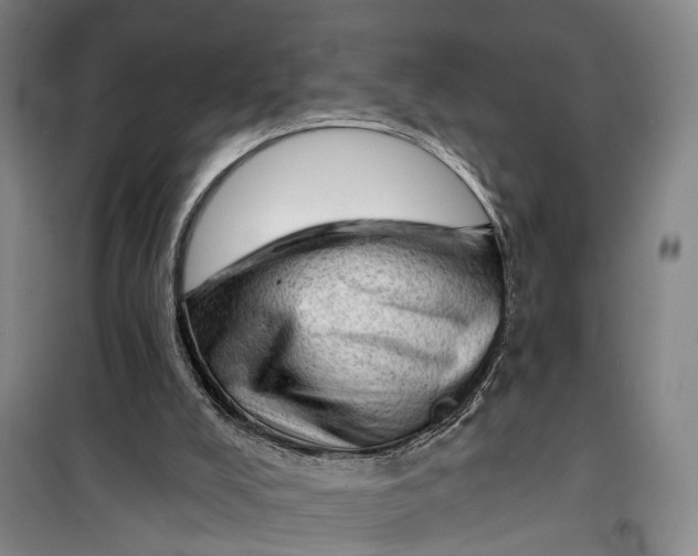 X0000099450008200805301522