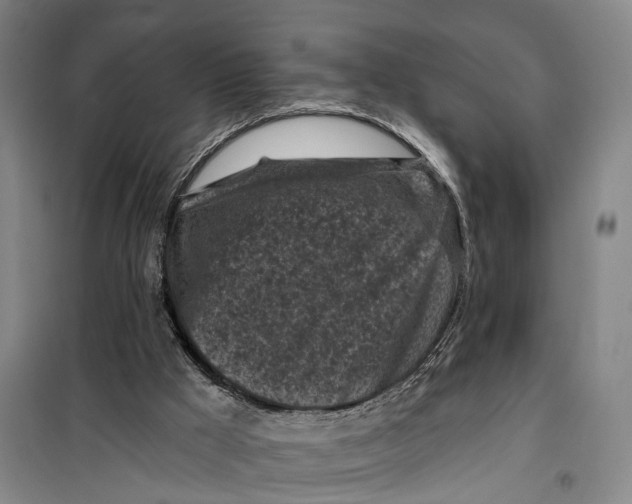 X0000099450009200805301522