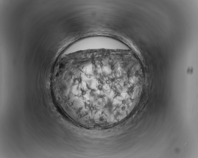 X0000099450010200805301522