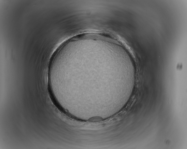 X0000099450011200805301522