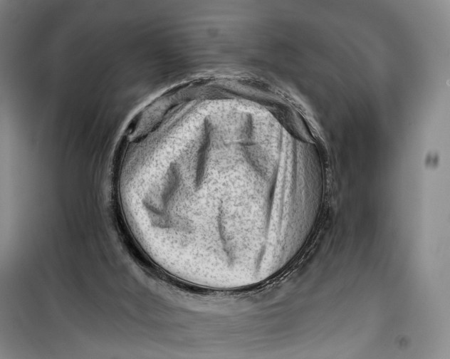 X0000099450012200805301522