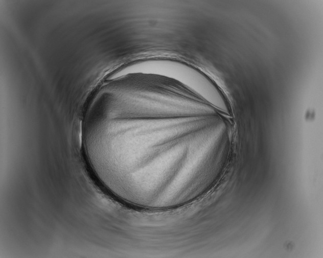 X0000099450013200805301522