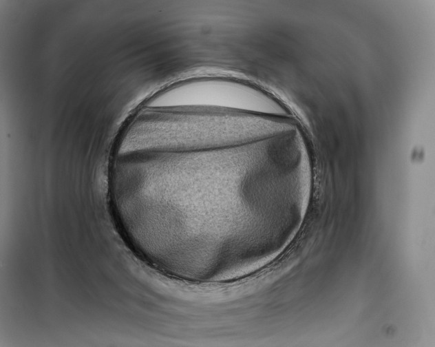 X0000099450015200805301522