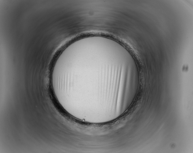 X0000099450016200805301522