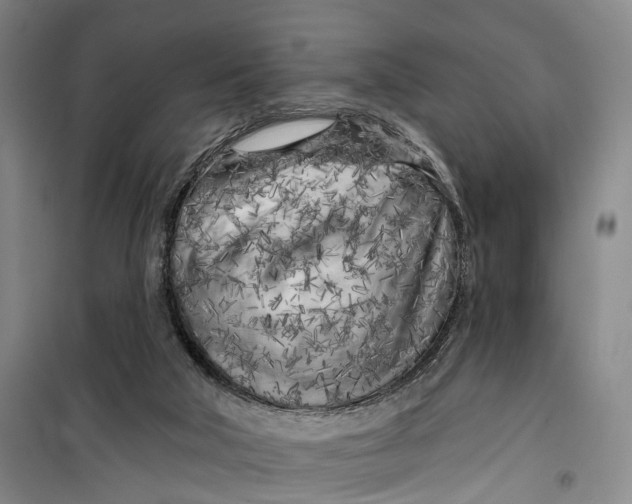 X0000099450018200805301522