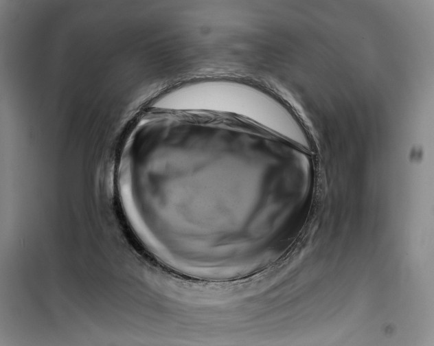 X0000099450019200805301522