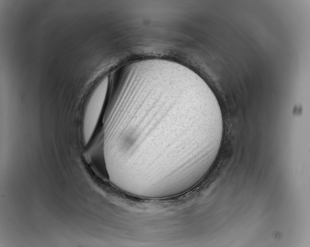 X0000099450020200805301522