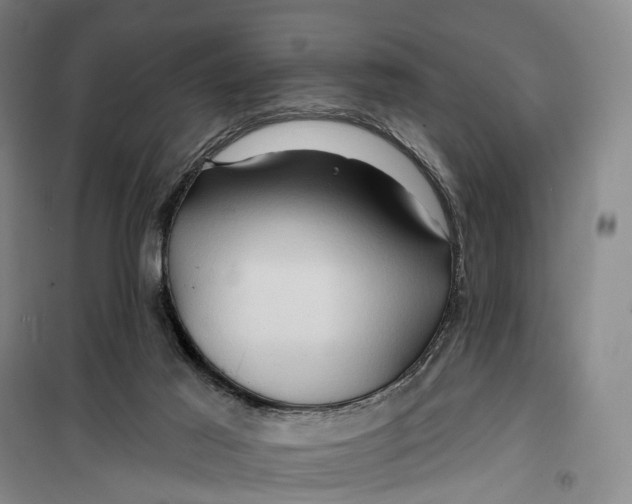 X0000099450021200805301522