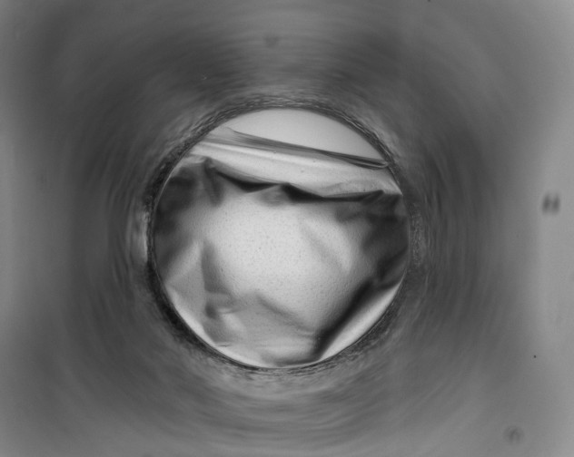 X0000099450022200805301522