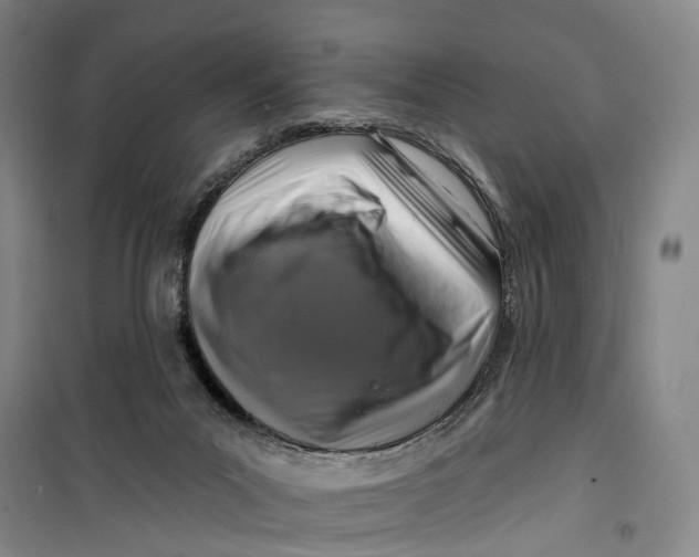 X0000099450023200805301522