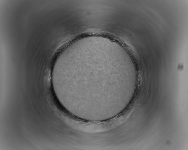 X0000099450024200805301522