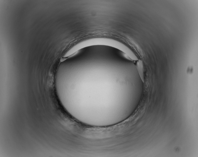 X0000099450025200805301522