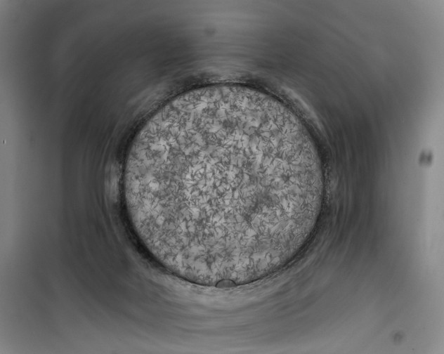 X0000099450026200805301522