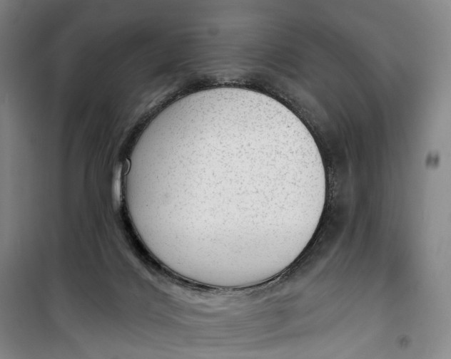 X0000099450028200805301522