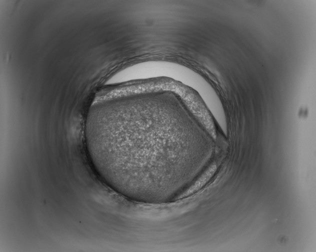 X0000099450029200805301522