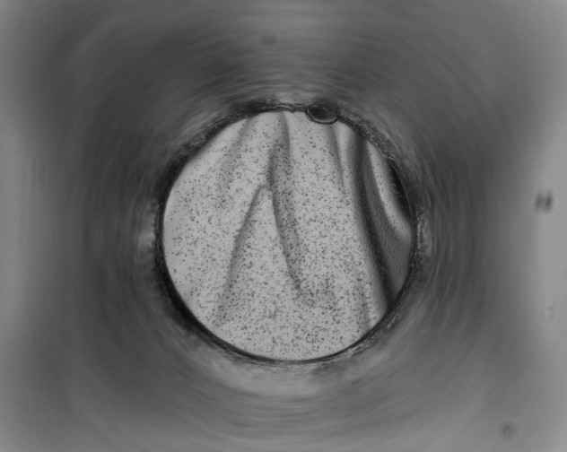 X0000099450032200805301522