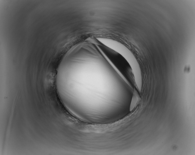 X0000099450033200805301522