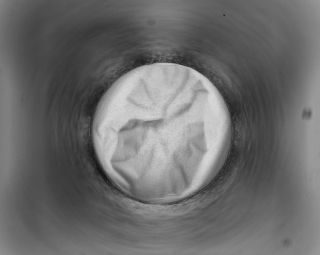 X0000099450034200805301522