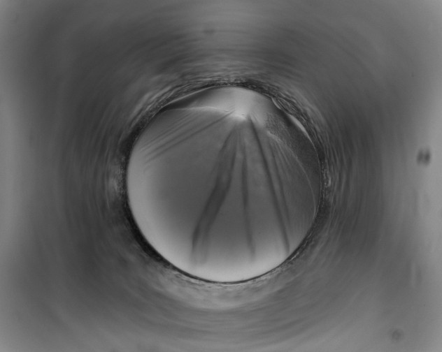 X0000099450035200805301522