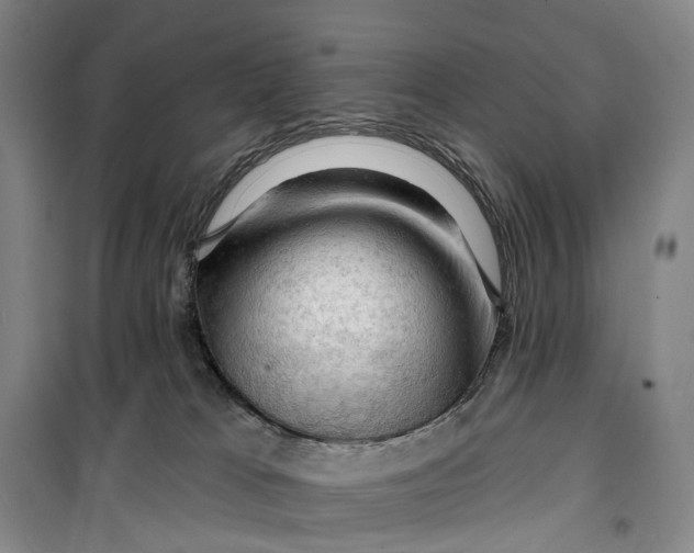 X0000099450037200805301522