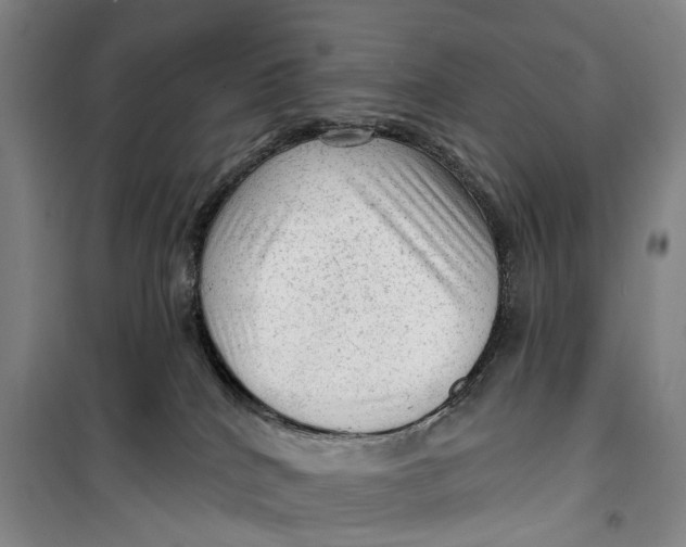 X0000099450040200805301522