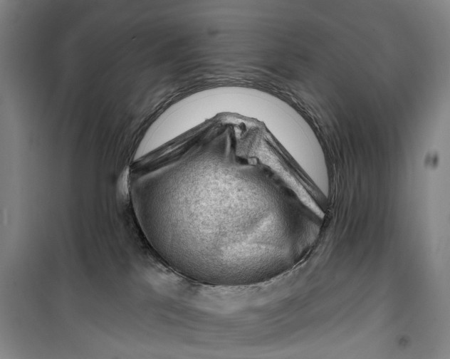 X0000099450041200805301522