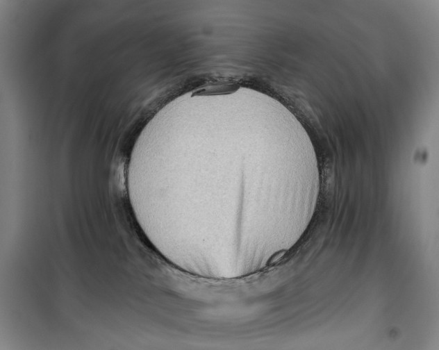 X0000099450042200805301522