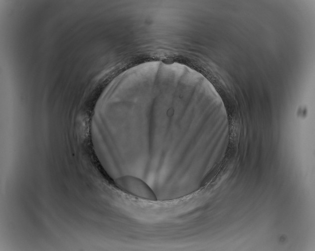 X0000099450043200805301522