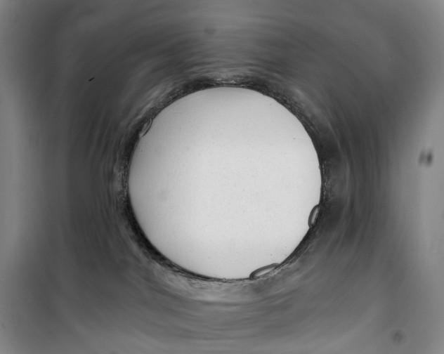 X0000099450044200805301522