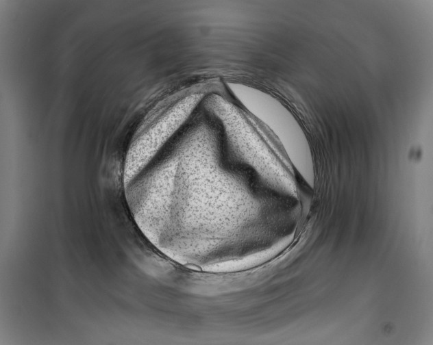 X0000099450045200805301522