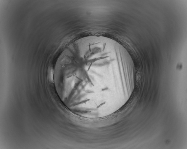 X0000099450046200805301522