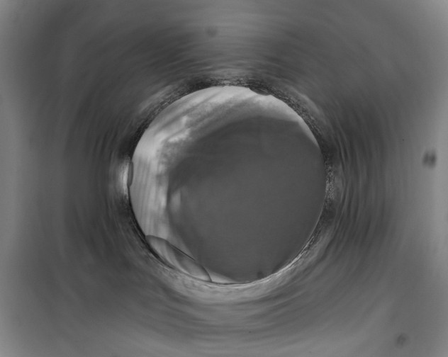 X0000099450047200805301522