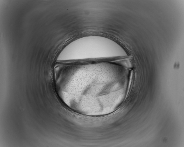 X0000099450048200805301522