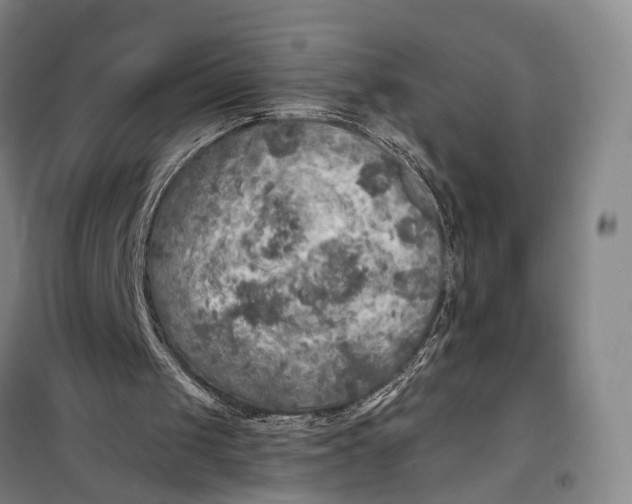 X0000099450049200805301521