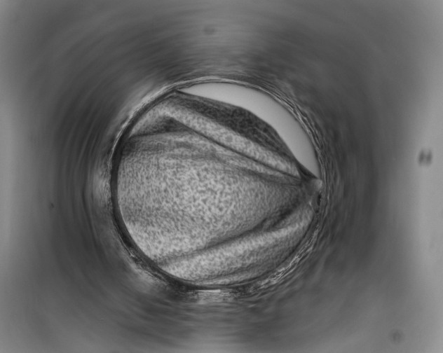 X0000099450050200805301521