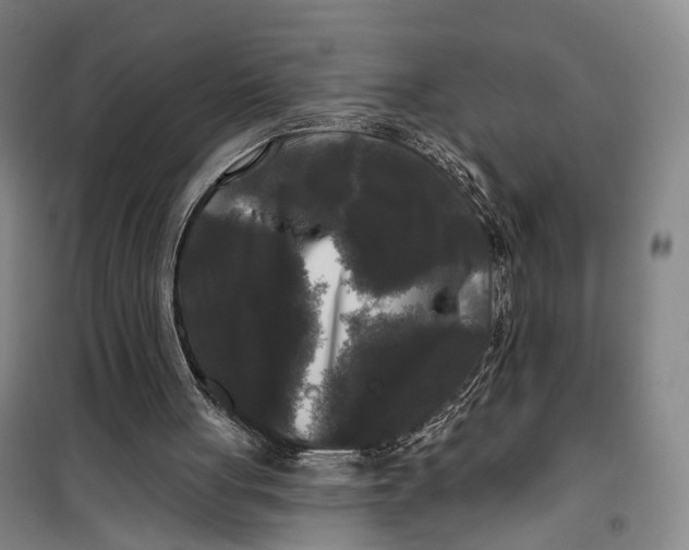 X0000099450051200805301521