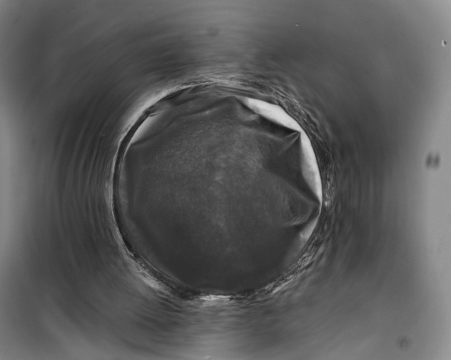 X0000099450052200805301521