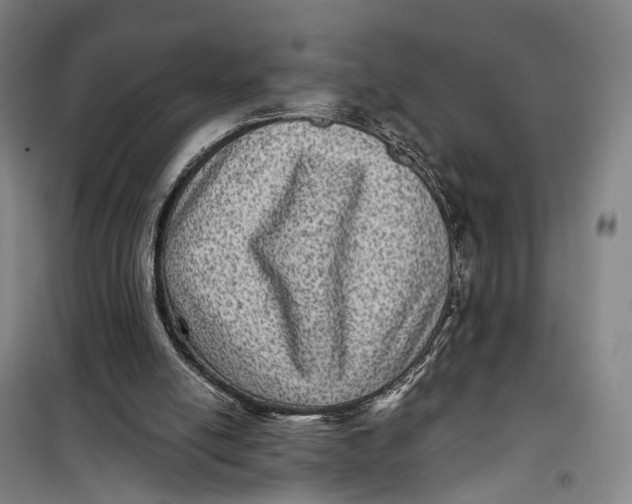 X0000099450054200805301521