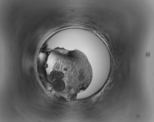 X0000099450055200805301521